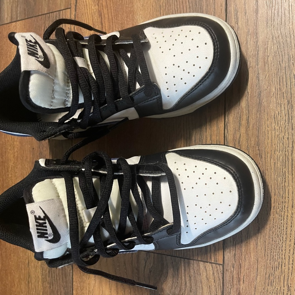 Worn Dunk lows in size 5